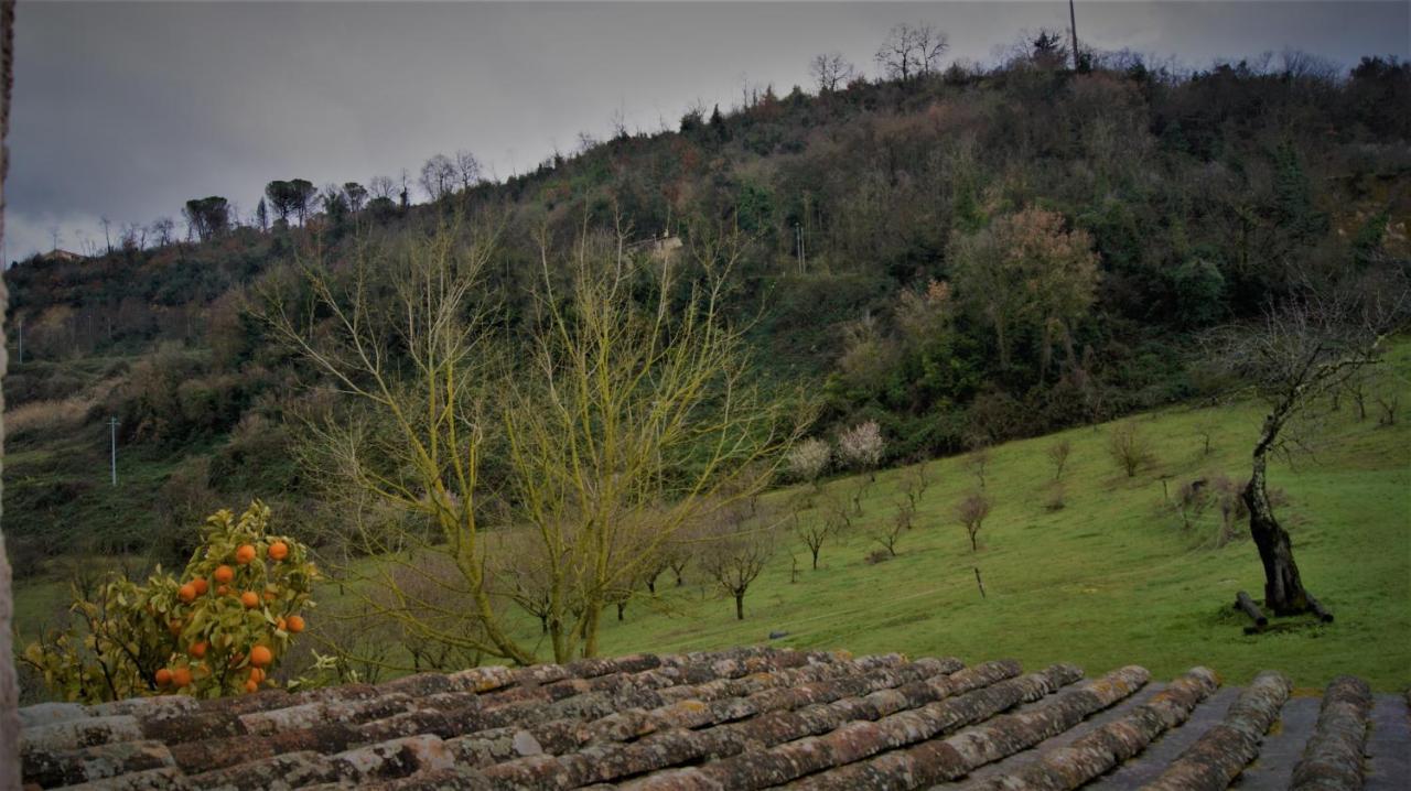 Agriturismo Monterone 폰차노로마노 외부 사진